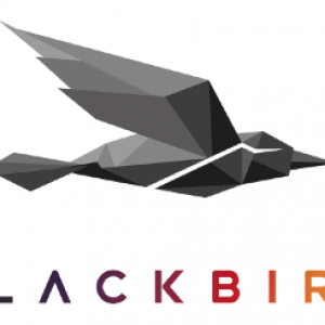 Blackbird Logo